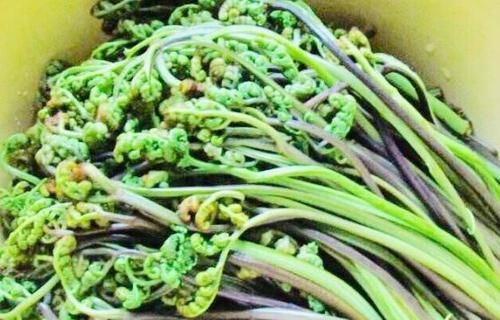 女性常吃“救命菜”，有效预防宫颈癌，缓解宫寒暖子宫！