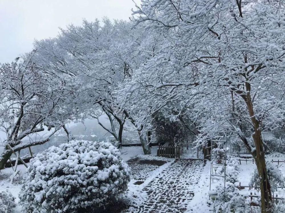 邂逅|来莫干山，邂逅一场冰雪奇缘吧！