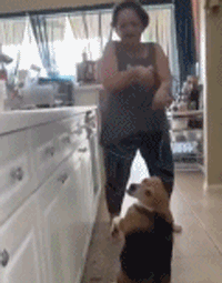 |搞笑动图:把妹子的小脸放手掌上捏一捏!