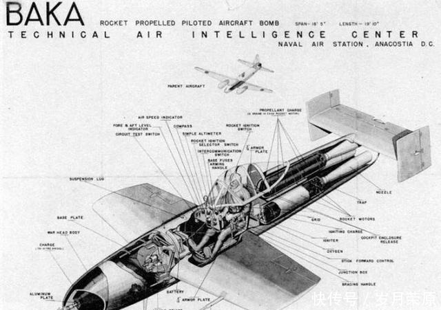 特别|民航联盟血色落樱—MXY-7樱花特别攻击机(上)