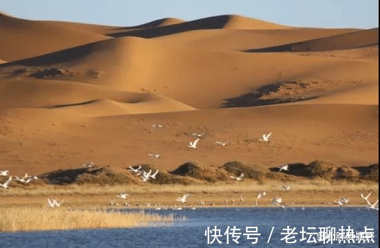 盐湖|地球的“心脏”在哪其实不止一处，就藏在各个沙漠中！