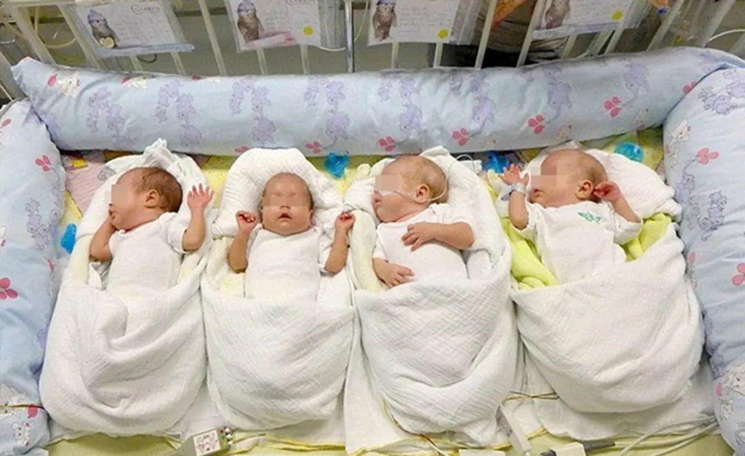 爸爸|姓杨爸爸喜得五胞胎,一口气给娃取了五个好名字,被人直夸有文化