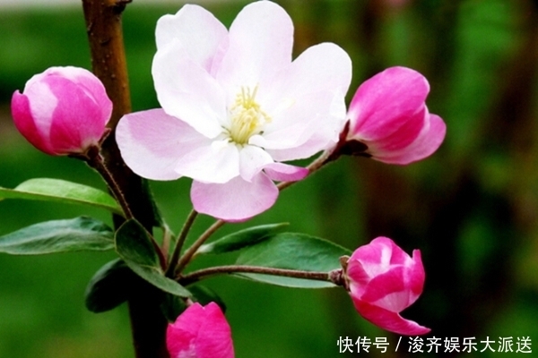 拥有这“4种脚型”的女人,天生富贵之命,衣食无忧,从不缺钱花