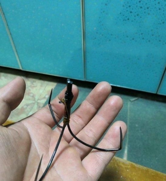 禁渔期，湘江仍有不少锚鱼人，一米长的鱤鱼硬拉上岸