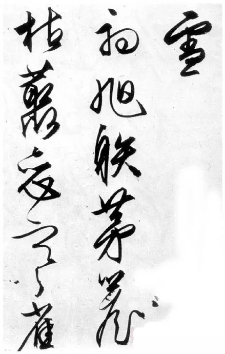 草书|文征明66岁的精妙草书!