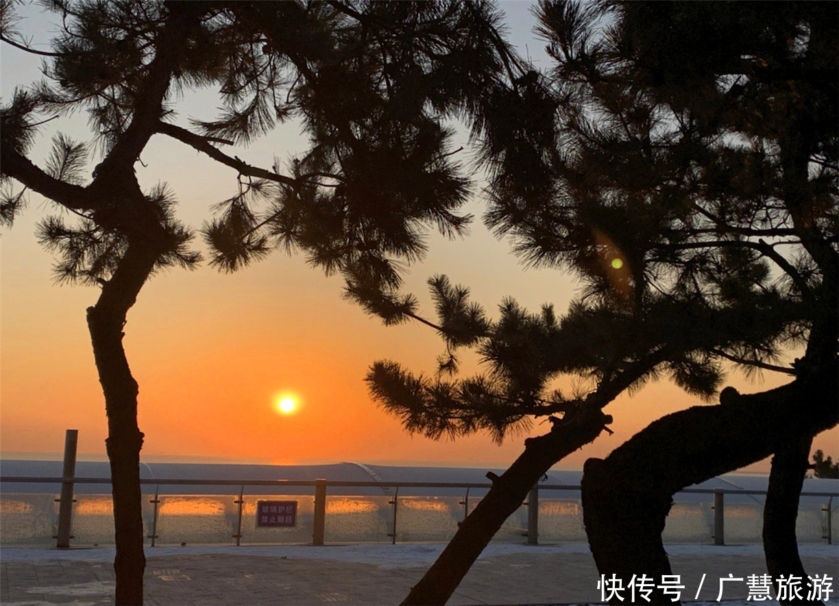 刘明杰|日照游玩景点种草,必玩的大型沿海美景除海洋公园全免费,每一处都超值