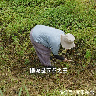 家常菜|传统苦荞麦粑粑，老一辈人的饱腹主食，蒸鸡吃是湖南地道家常菜