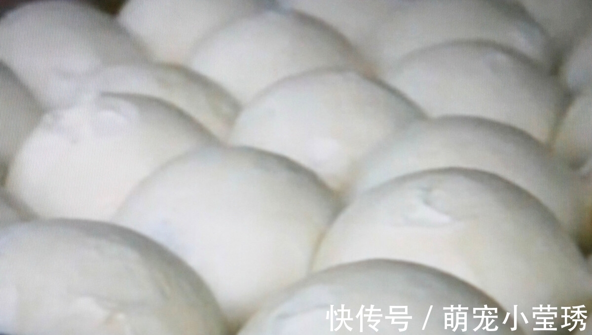 医生|经常吃酵母发酵的馒头对身体有影响吗？听听医生怎么说