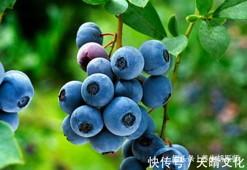 养生|想长寿要先排毒,多吃3种食物,排毒润肤,滋肾补肾,越吃越年轻