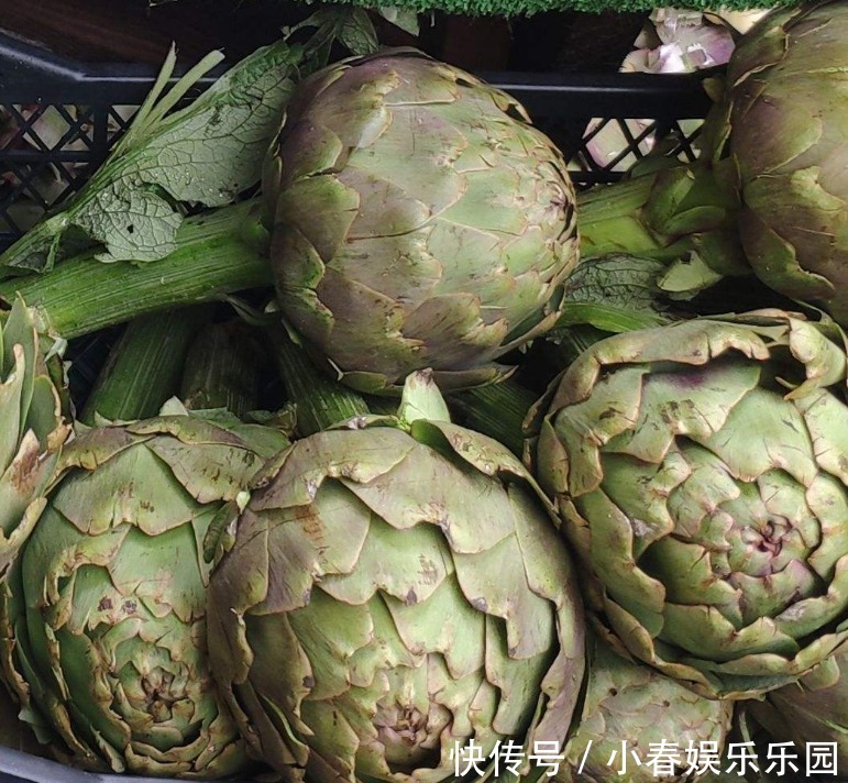 路边没人要的野花，国外人买来当菜吃，开花很美、很受欢迎！