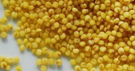 氧自由基|小米粥多放2种小物品,一生不得癌,就连三高也降低了