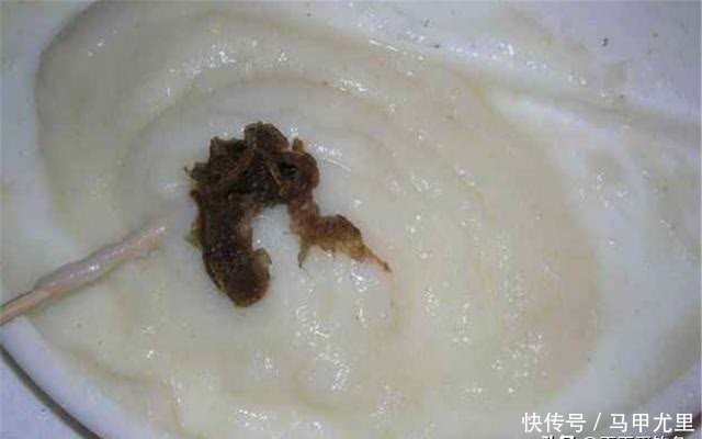 这些饵料被很多黑坑禁用,野钓时可以随便用,鱼口好到“离谱”