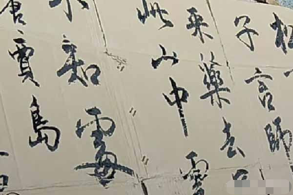 农村|农村小伙在废旧纸箱上练字,写出一手让人羡慕的字迹,用笔精到
