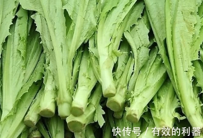 小白|原产自欧美的野菜，在国内被称“百菜之王”，吃它还能降胆固醇