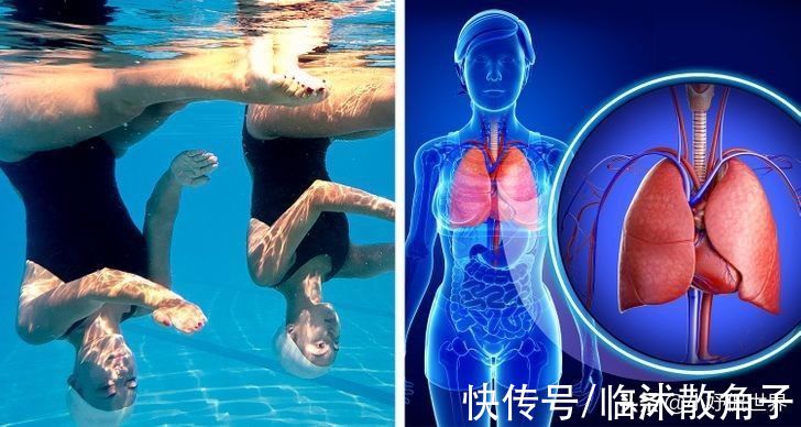 花样游泳|趣味冷知识：花样游泳这项运动的10个有趣的冷知识
