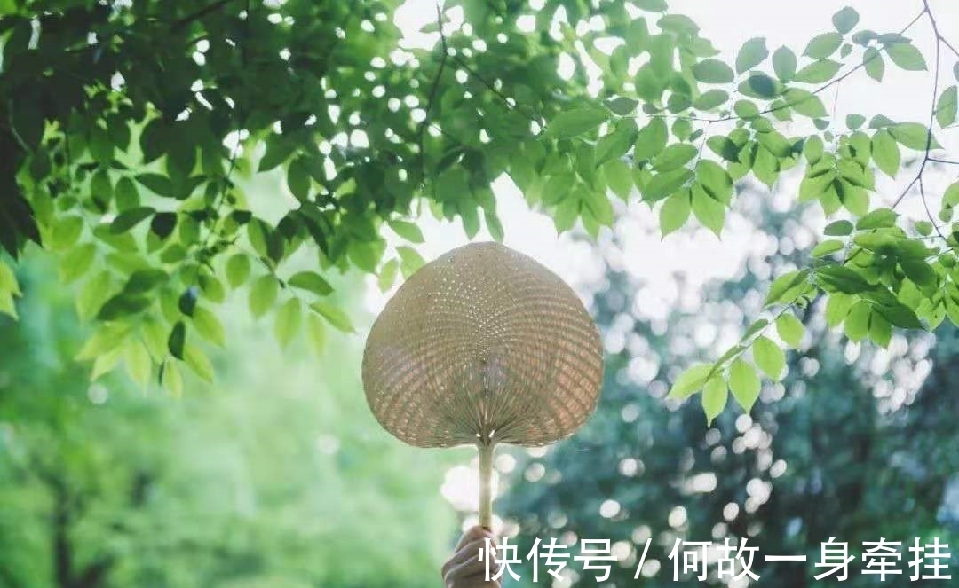 枯桐|小楼独上听秋雨，几片枯桐落石旁。处暑诗十首