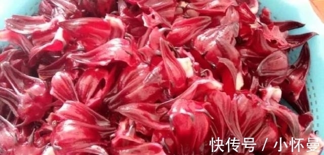 大河君|“穷人的阿胶”被找到，10元一大包，隔三差五吃，补气血人更美！