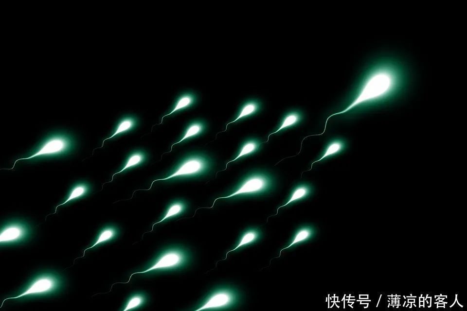 准爸爸们|可乐不杀精,真正杀精子的元凶其实是你身边的这几种东西