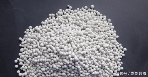 植物|淘米水、羊粪肥都不如这两种肥，什么花都可以用，简单好用