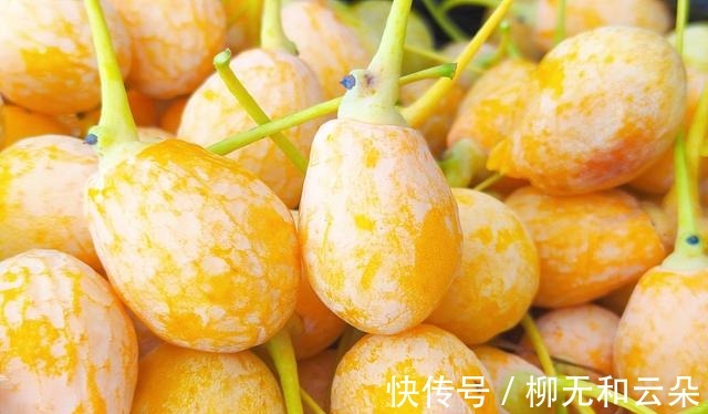 白果仁|鸡汤鲜美可口，酒香微微，鸡肉耙烂，糯软不柴，喝汤吃肉两相宜！