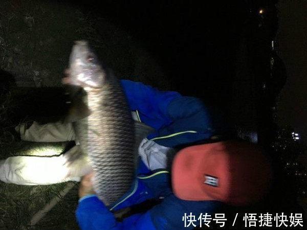 这鱼是鲮鱼吗,足足十三斤,鲮鱼能长这么大?