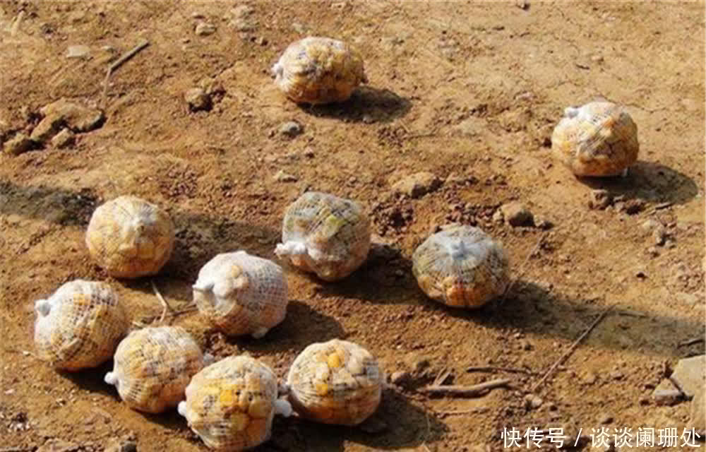 聚鱼有三个要求：引得来、留得住、钓得着，做到这些大鱼连竿上