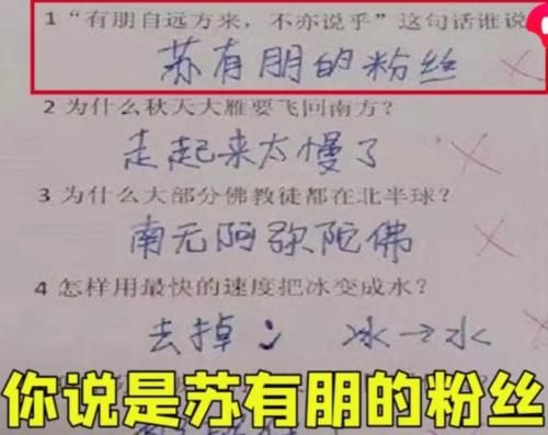 “蝙蝠身上插鸡毛，算什么鸟”小学生写歇后语火了，老师哭笑不得