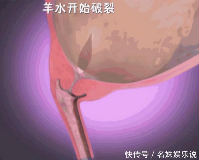 子宫|宝宝是如何出生的?那么小的口那么大的娃,看完还觉得生娃简单吗