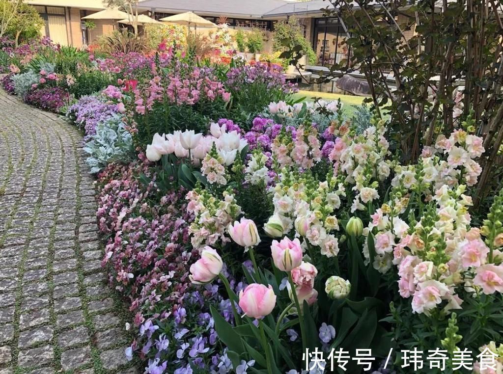 家里人！掌握庭院布置技巧，后期做起来太美了，看看你家是哪一种？