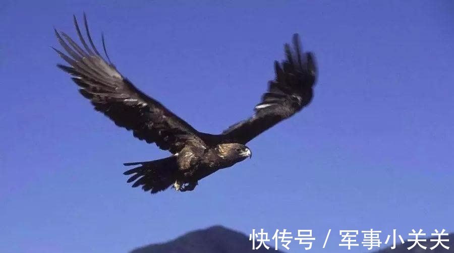 地道|天道酬勤,地道厚德,人道是什么?