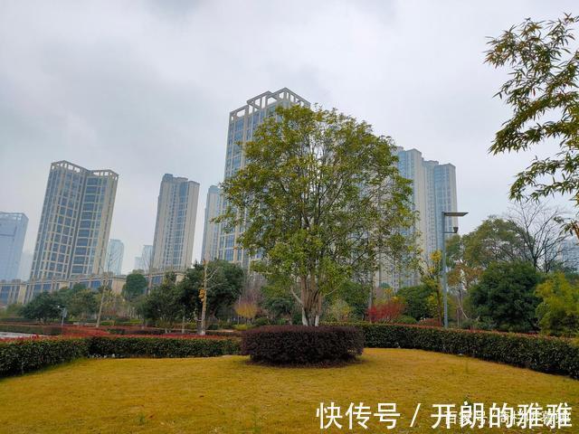 梅溪湖@《五绝·冬日游梅溪湖》逍遥碧水边,湖清树自闲