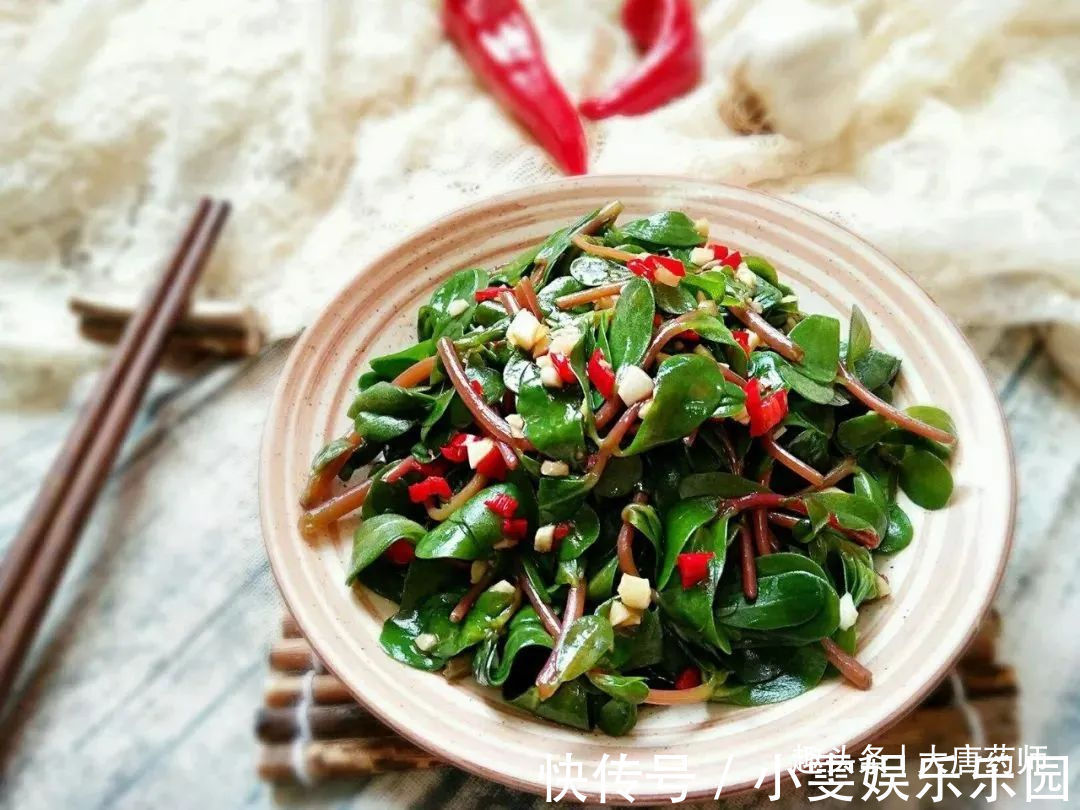 调理|一味马齿苋,治病大功效!马齿苋的5大顶级妙用方,连中医都夸赞