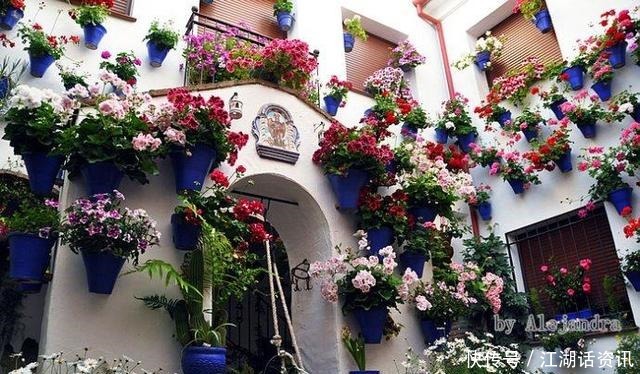 不一样的“庭院花园”，花草都上了墙