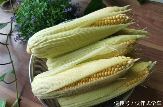 玉米煮多了吃不完怎样办教你这样保存,放一年不变质,新鲜如初!