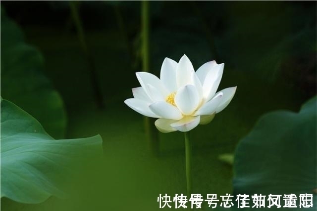 曾国藩&真正聪明的人,有三不说,越是不说,越能积德积福