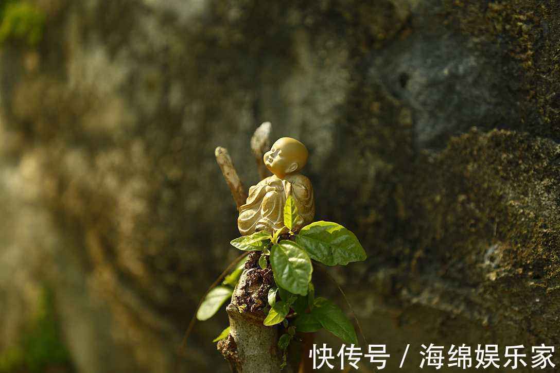 分寸#有一种清闲,就是不多管别人的闲事,为人处世,大小分寸掌握好