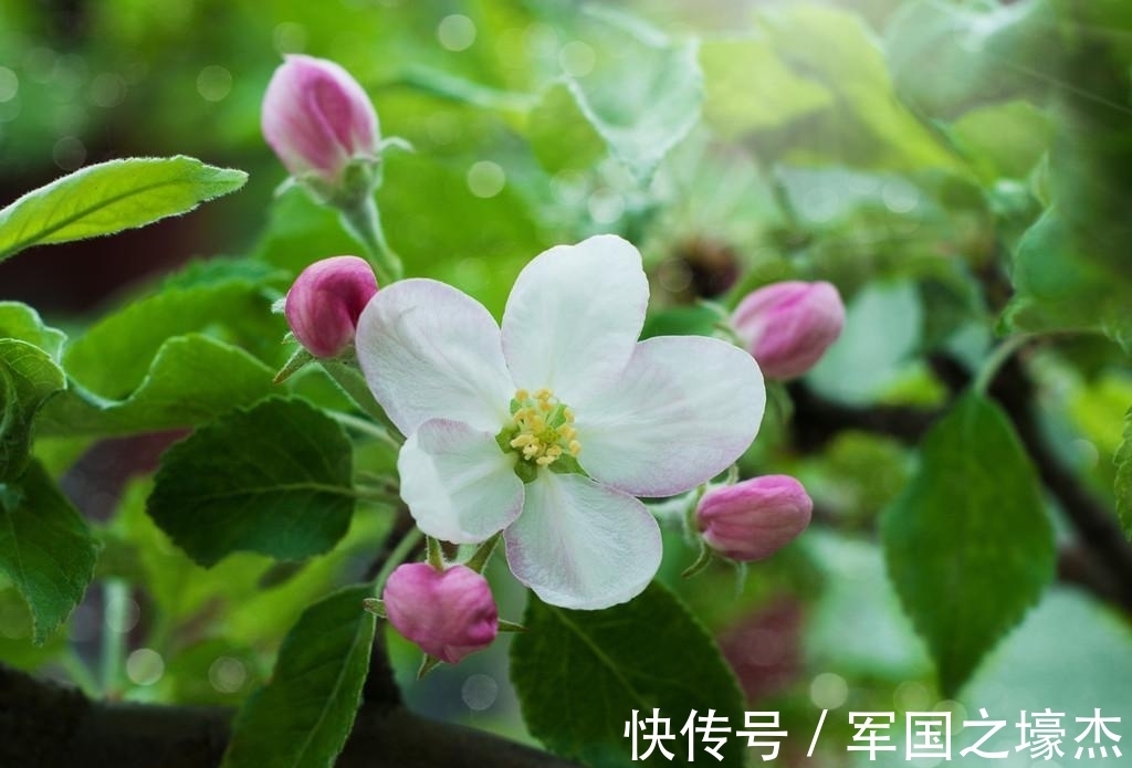 桃花|未来一周，花好月圆，这4星座桃花傍身，爱神送缘，将坠入爱河