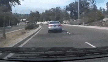 |搞笑段子王：为了一口吃的，猫咪就这么被主人骗了