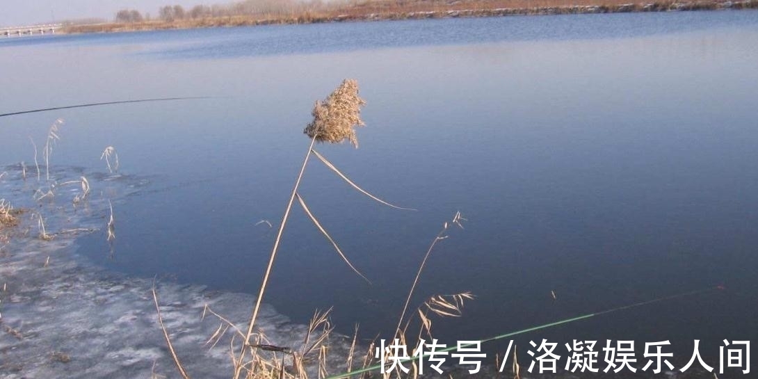 灵敏度|这种钓法比双铅钓法效果更好,适合冬季野钓,不用明显吃亏