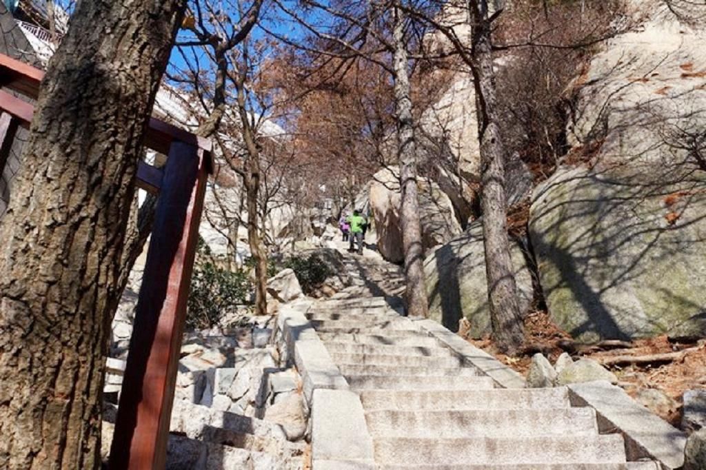  重阳节|重阳节为什么要登高呢？古代重阳节“登高”背后的寓意