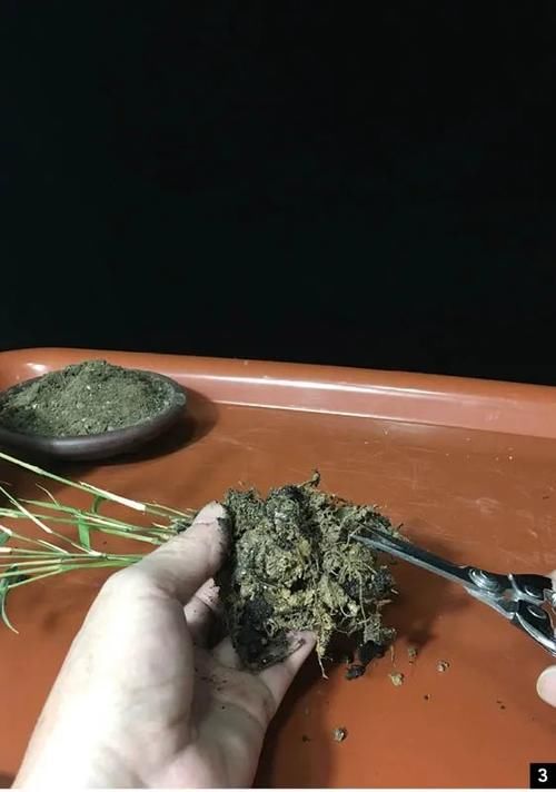 苔玉显“禅韵”，尝试用竹子和苔藓制作一道书桌上的盆景！