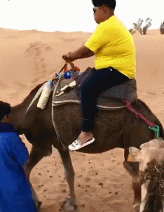 |搞笑GIF: 现在做生意太难了 今天有位客人要吃毛衣