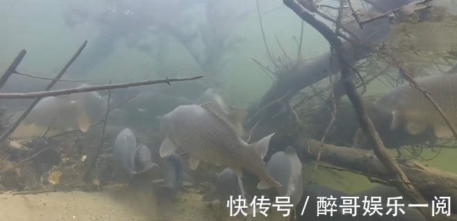 都说冷天饵料要“腥”,为啥加了也没鱼咬钩?这4个原因是关键!