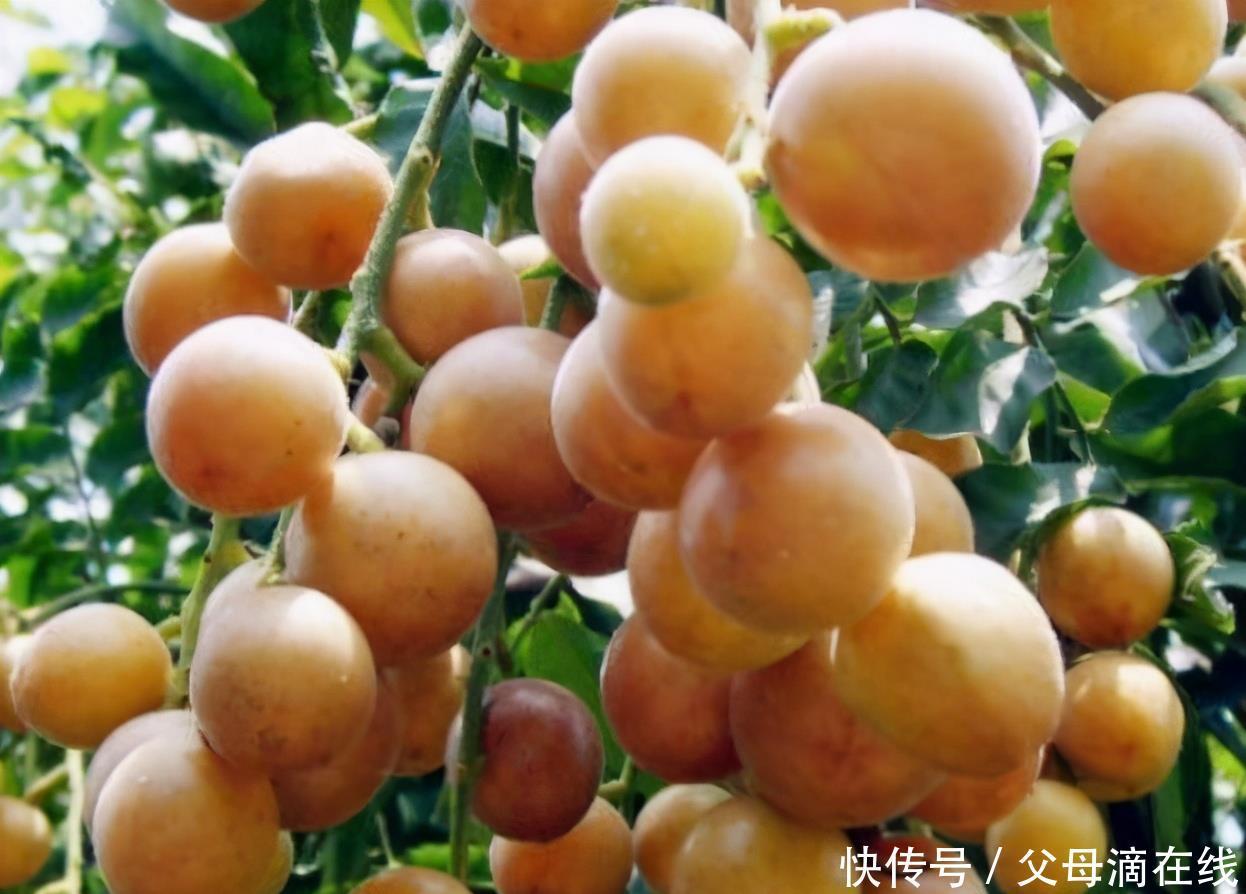 中年|女性到了中年,推荐常吃3种食物,延缓衰老,预防心血管疾病