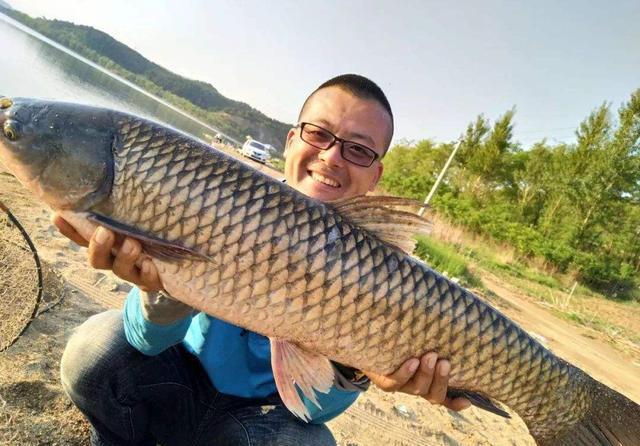 钓位|夏天野钓草鱼全攻略,钓位最重要,饵料岸边就有