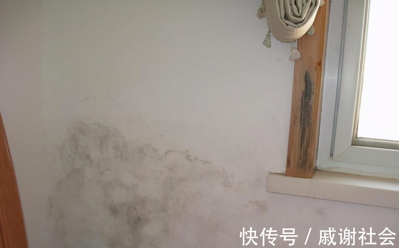 法式|第二次装修，再也不包窗口、做窗套了，实属费钱还难看！