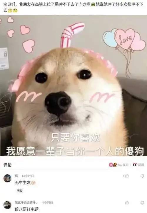 |搞笑合集:村子里有一群神秘人,整日打牌不愁吃喝,哪来的钱