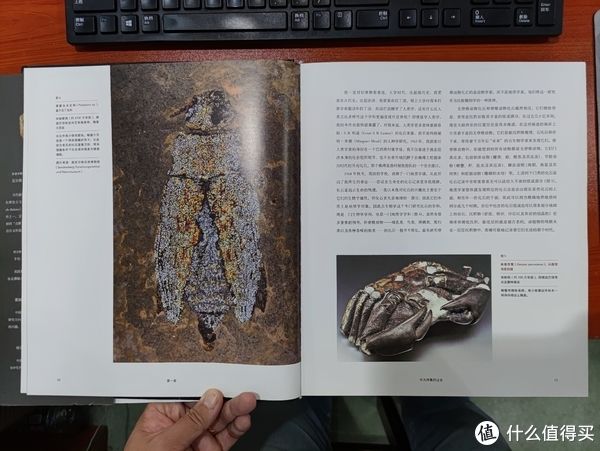 图书馆#图书馆猿の2021读书计划60：《灭绝与演化：化石中的生命全史》