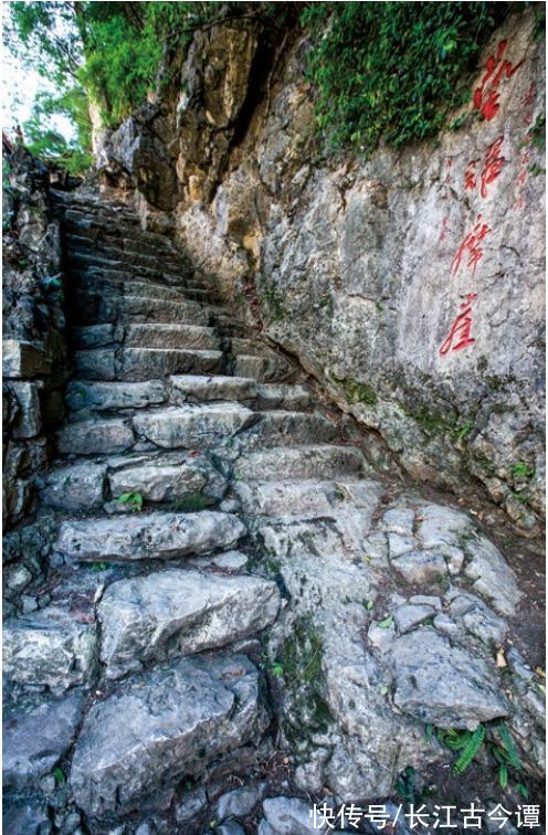 茶马古道|山间铃响马帮来，茶马古道的马帮传奇