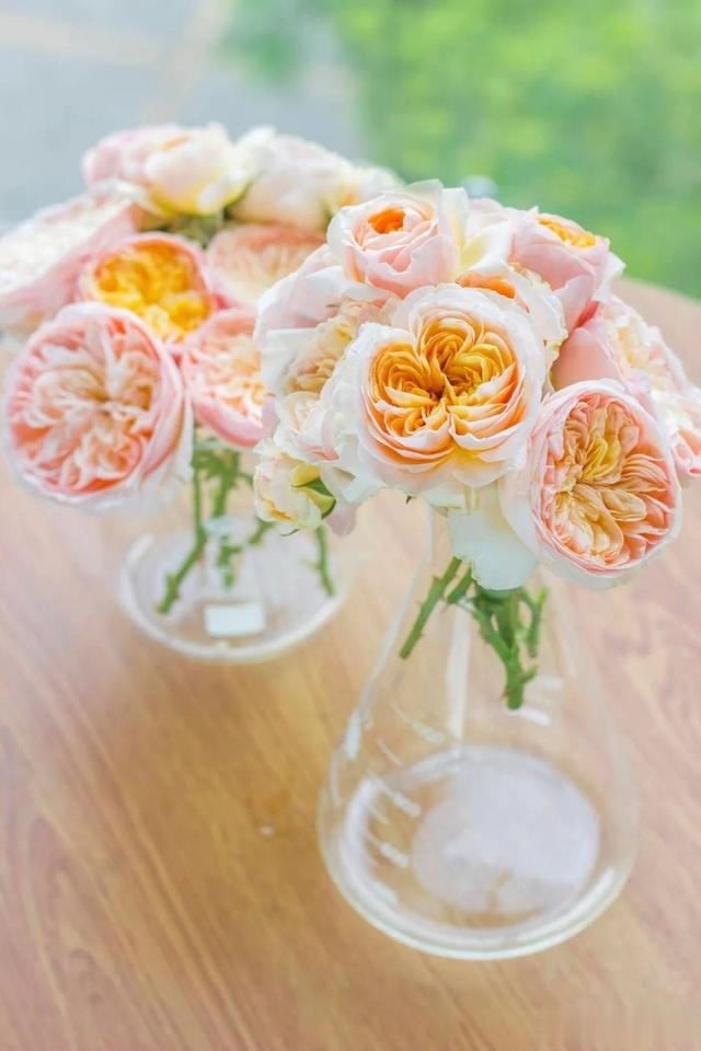 圆滚滚的绣球,瀑布般的花墙,这届花友也太会种花了吧